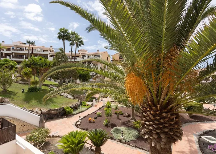 Oceanfront Tenerife South Abatros 254