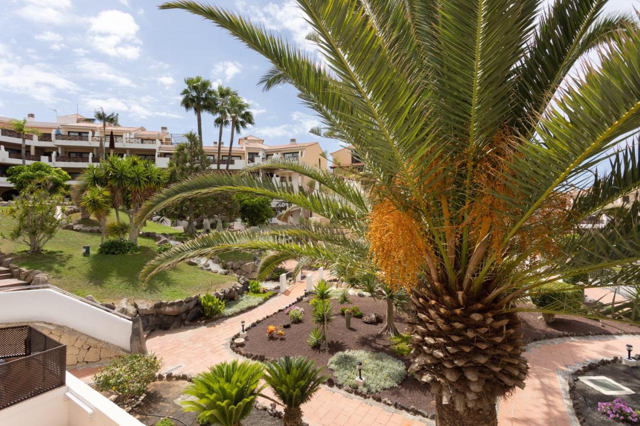Oceanfront Tenerife South Abatros 254 Appartement San Miguel de Abona